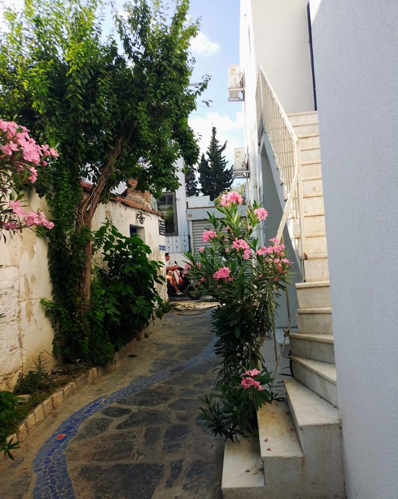 Kardelen Otel Bodrum Exteriör bild